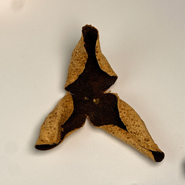 9-Year Authentic Xinhui Tangerine Peel Gift Box - Nantan Premium Red Peel, Sun-Dried & Dry-Stored